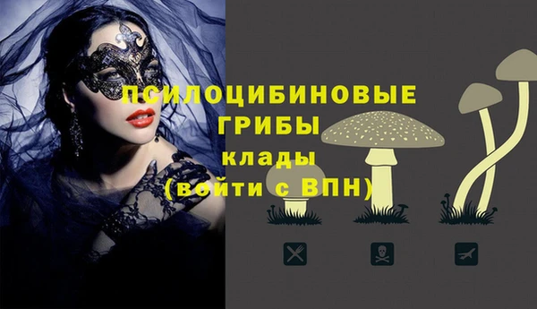 spice Верхний Тагил