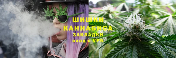 spice Верхний Тагил