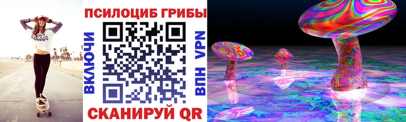 Псилоцибиновые грибы Psilocybine cubensis  blacksprut как зайти  Сургут 